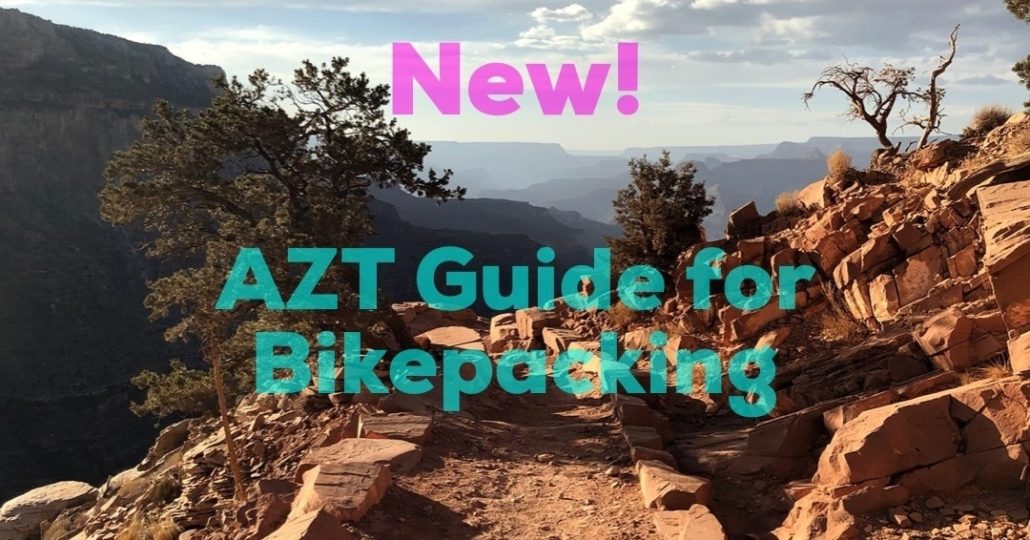 week 10 AZT Guide