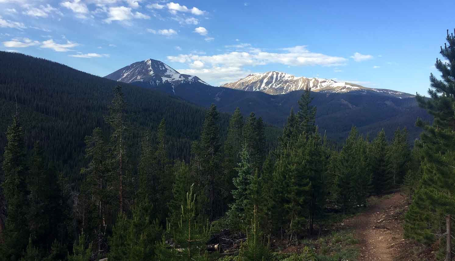 A section of singletrack on the Colorado Trail with mountains in the background, featured in the Colorado Trail Guide for bikepackers.