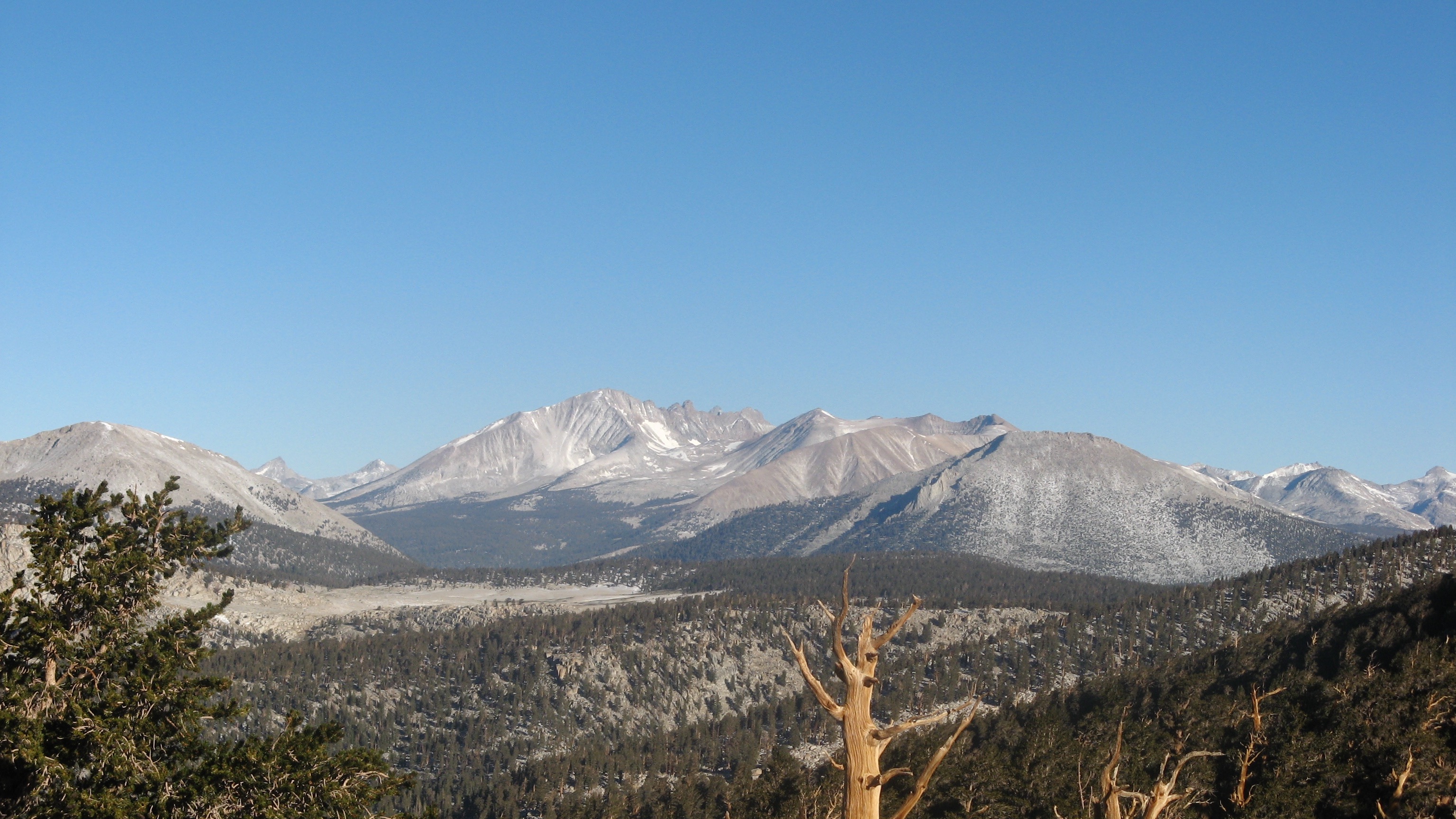 Views on the JMT/PCT