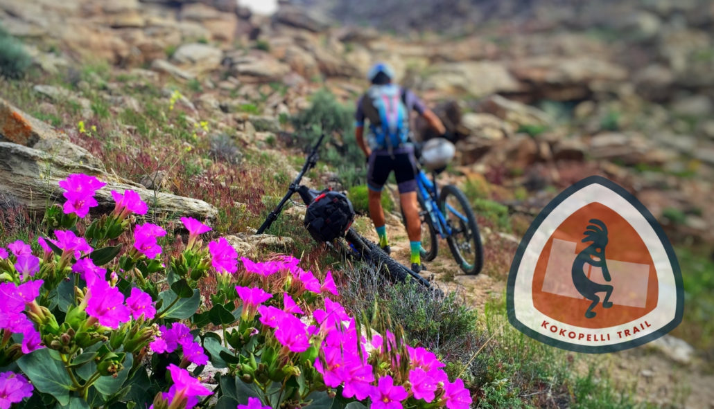 kokopelli Trail guide - Bikepacking