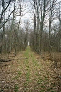 Appalachian Trail Day 36 - Kincore Hostel - Watauga Lake Shelter