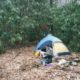 Appalachian Trail Day 37 - Watauga Lake - Unknown Campsite
