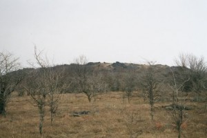 Appalachian Trail Day 41 - Damascus - Lost Mountain Shelter