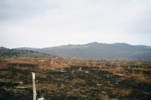 Appalachian Trail Day 43 - Wise Shelter - Trimpi Shelter