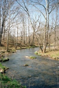 Appalachian Trail Day 44 - Trimpi Shelter - Chatfield Shelter