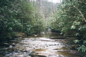 Appalachian Trial Day 47 - Chestnut Knob - Campsite VA 615