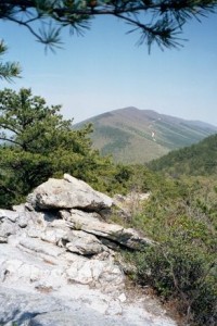 Appalachian Trail Day 54 - Laurel Creek - Niday Shelter