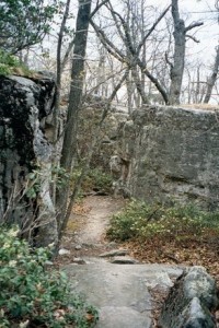 Appalachian Trail Day 56 - Campsite - Lamberts Meadow Shelter