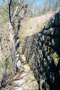 Appalachian Trail Day 59 -Bobblets Gap - Cornelius Creek Shelter