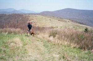 Craig Fowler - Appalachian Trail Day 61 - Matts Creek - Little Irish Creek Campsite