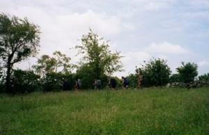 Appalachian Trail Day 95 - Rutherford - Goldsmith Road