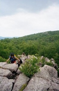 Appalachian Trail Day 97 - Wawayanda Center - Orange Turnpike