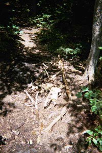 Appalachian Trail Day 146 - Monson - Wilson Valley Lean-to