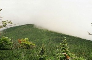 Appalachian Trail Day 117 - Claradon - Pico (Scatcave)