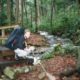 Craig Fowler - Appalachian Trail Day 32 - Erwin - Cherry Gap Shelter