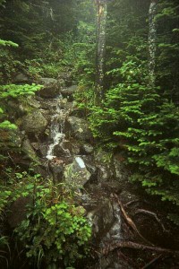 Appalachian Trail Day 141 - Sugarloaf - Stratton, ME