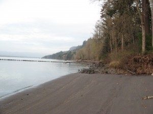 Columbia River - PCT 2007 Day 4 - Lewis & Clark State Park - County Line Park, WA