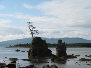 Oregon Coast - PCT 2007 Day 8 - Nehalem Bay - Pacific City, OR