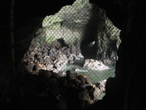 Sea Lion Caves - PCT 2007 Day 10 - Beachside - Umpqua Lighthouse S.P.