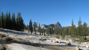 PCT 2007 Day 87 - Tuolumne Meadows - Smedberg Lake