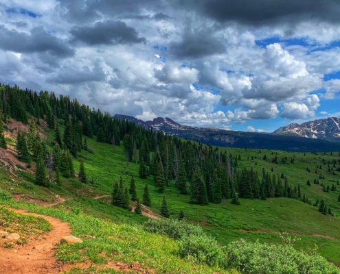 A lush, green stretch of high-country singletrack on the Colorado Trail with snow-capped mountains in the distance, featured in the Colorado Trail Race Journal.