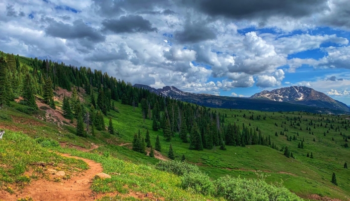 A lush, green stretch of high-country singletrack on the Colorado Trail with snow-capped mountains in the distance, featured in the Colorado Trail Race Journal.