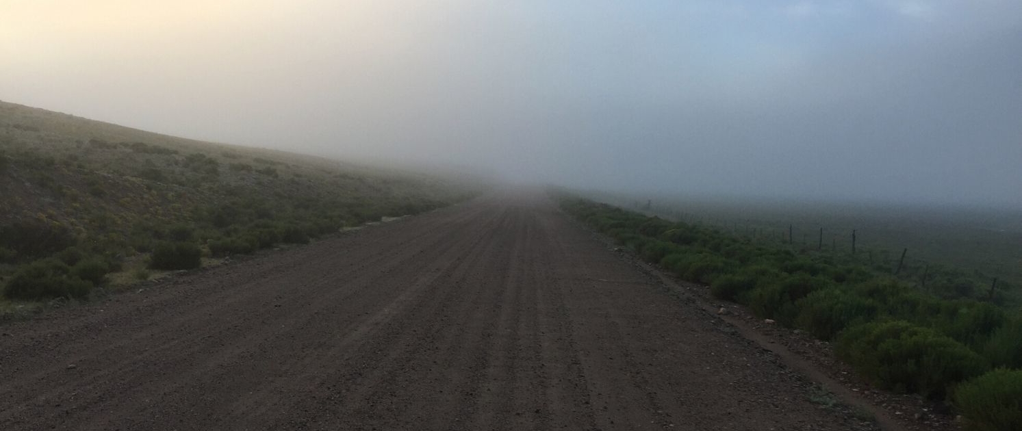 A foggy morning on a long dirt road along the Colorado Trail, capturing the atmosphere of the Colorado Trail Race Journal experience.