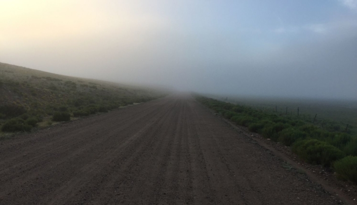 A foggy morning on a long dirt road along the Colorado Trail, capturing the atmosphere of the Colorado Trail Race Journal experience.