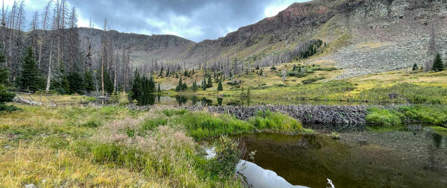 Colorado Trail San Juans