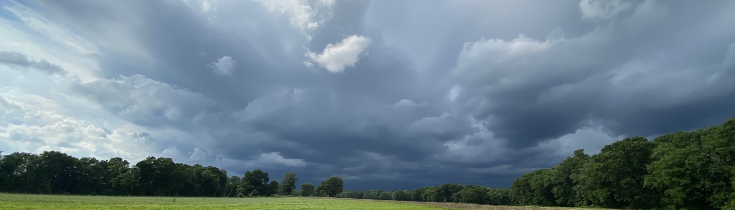 Dark storm clouds gather over a field surrounded by trees, emphasizing the importance of lightning safety for bikepackers & hikers.