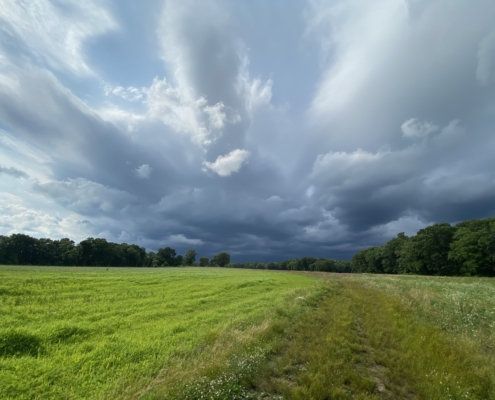 Dark storm clouds gather over a field surrounded by trees, emphasizing the importance of lightning safety for bikepackers & hikers.