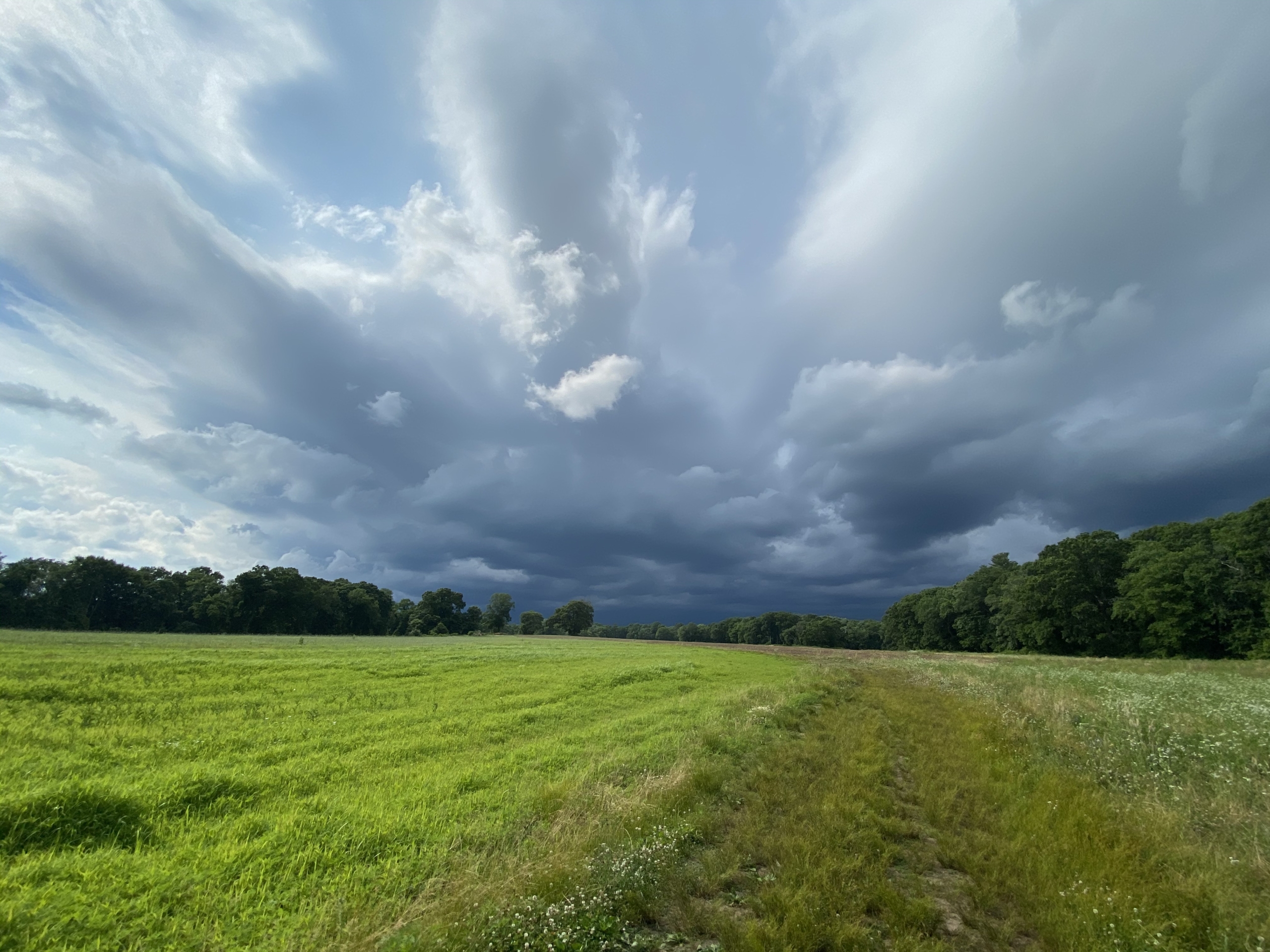 Dark storm clouds gather over a field surrounded by trees, emphasizing the importance of lightning safety for bikepackers & hikers.