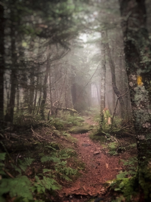 Sandwich Mtn. whites, NH, New Hampshire, hiking, NEHH