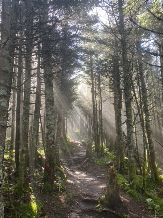 Old Speck, Maine, 4000 footer, hiking, peak bagging, NEHH