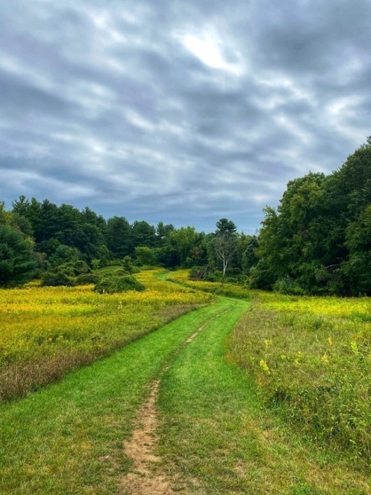 Bay circuit trail, bct, bikepacking,