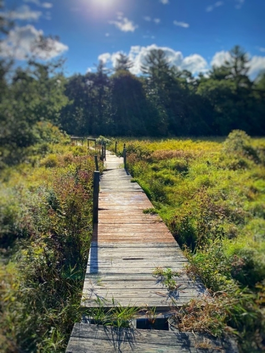 Bay circuit trail, bct, bikepacking,