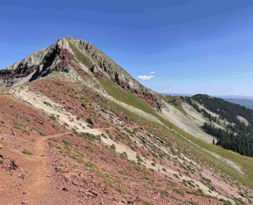 A view of Blackhawk Pass on the Colorado Trail, featured in the Colorado Trail Planning Guide to help bikepackers prepare for the route.